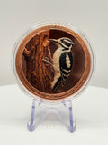 Downy Woodpecker 1 oz Colorized .999 Copper Round Bullion