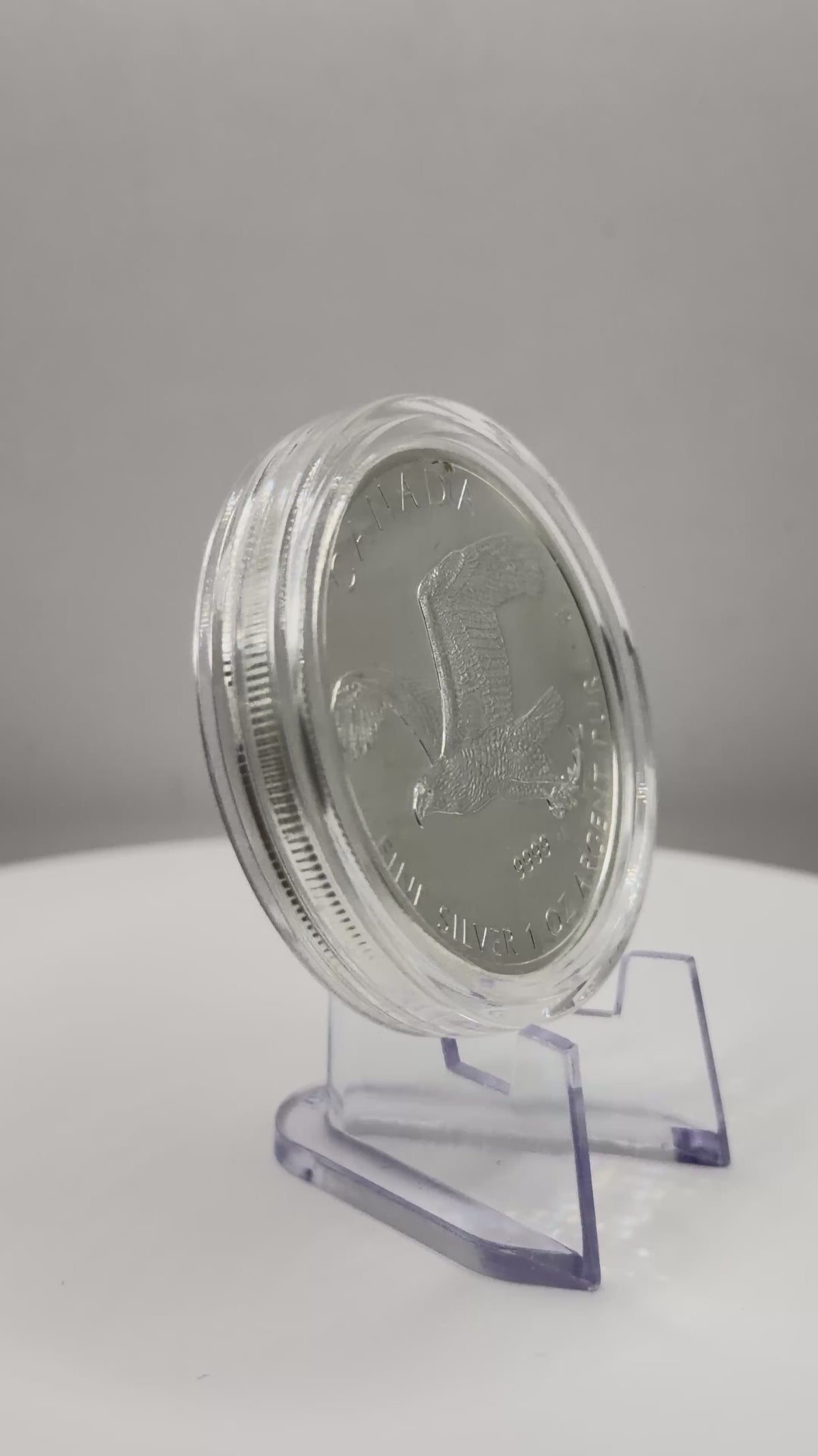 2014 Canada $5 Birds of Prey "Bald Eagle" 1 oz .9999 Fine Silver Coin