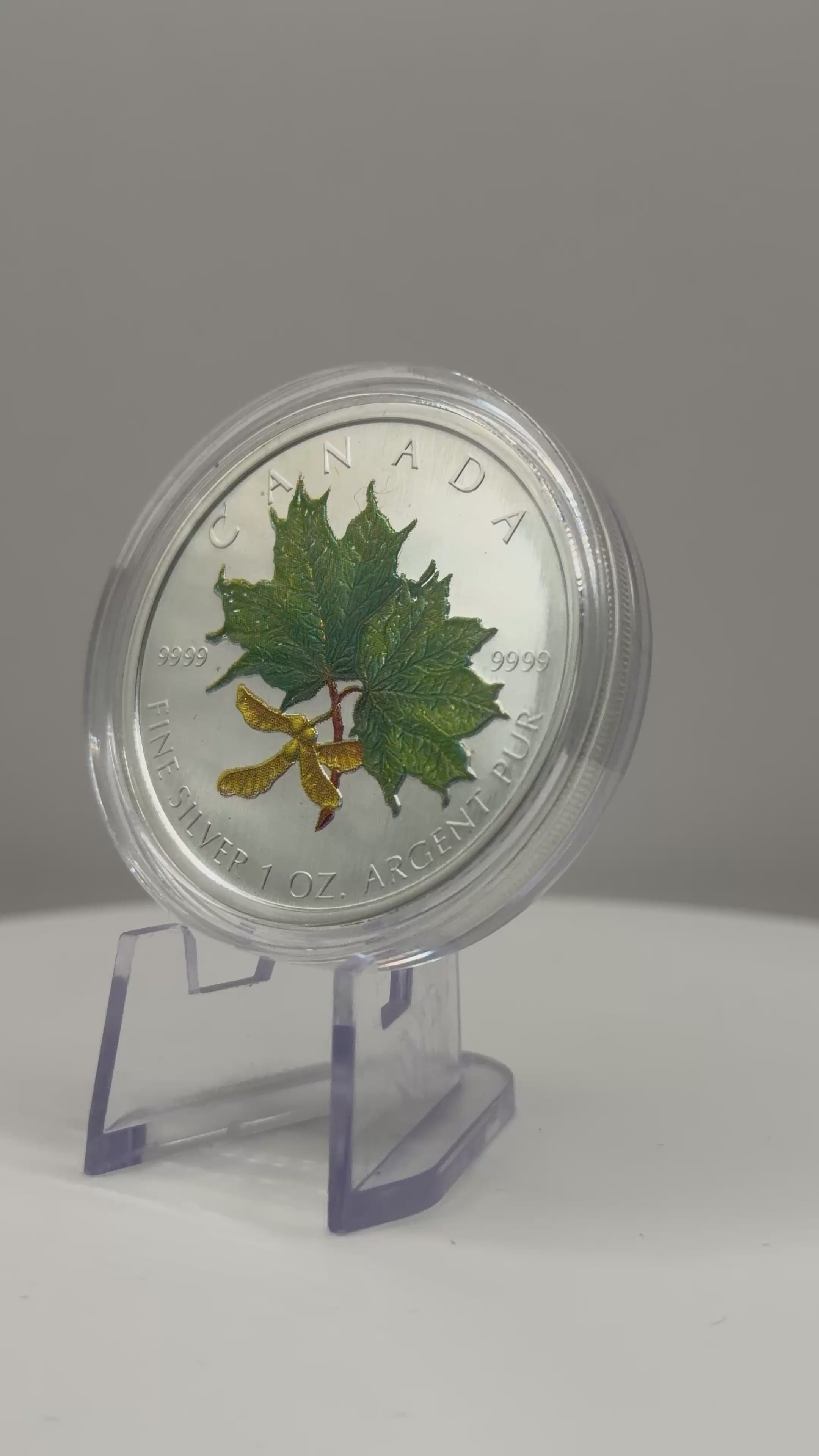 2002 Canada 1 oz Silver Maple Leaf Coloured Coin Box COA