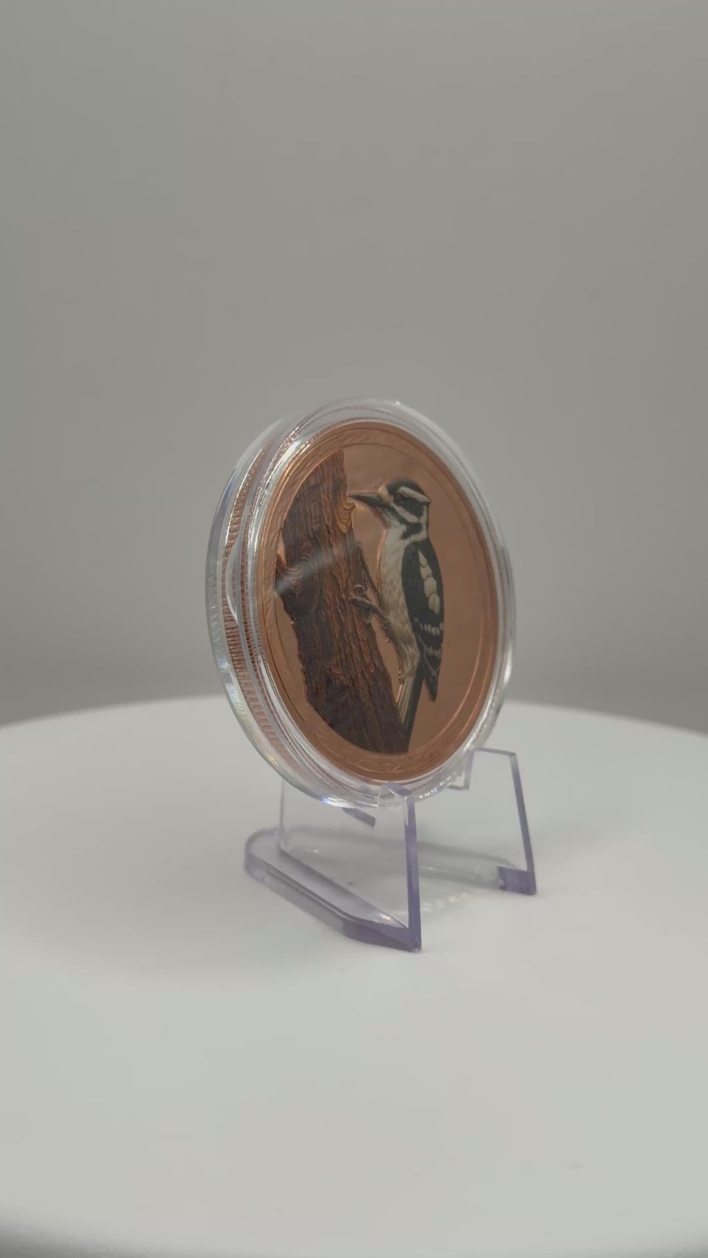 Downy Woodpecker 1 oz Colorized .999 Copper Round Bullion