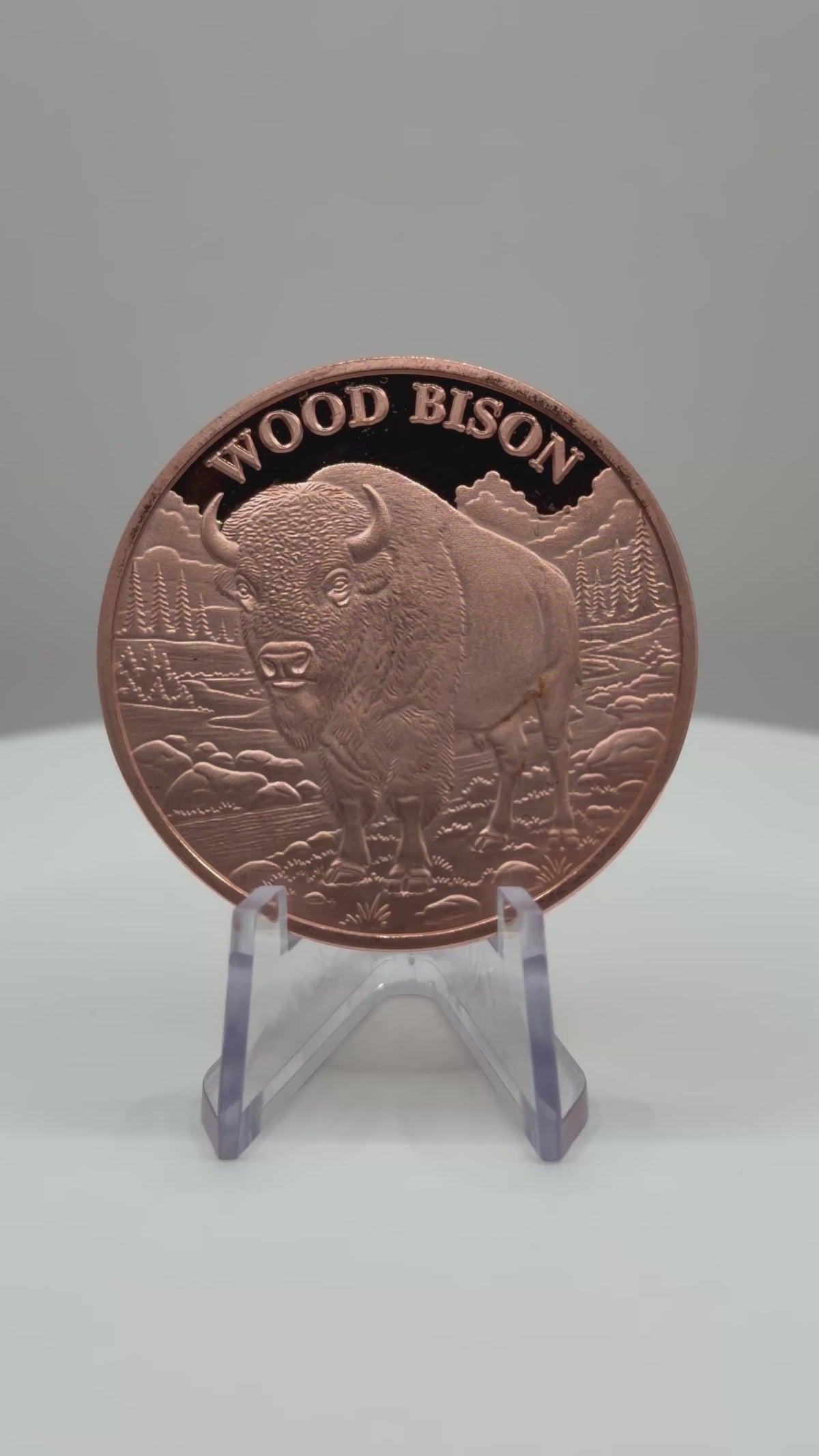 Wood Bison 1 AVDP oz .999 Fine Copper Bullion Round