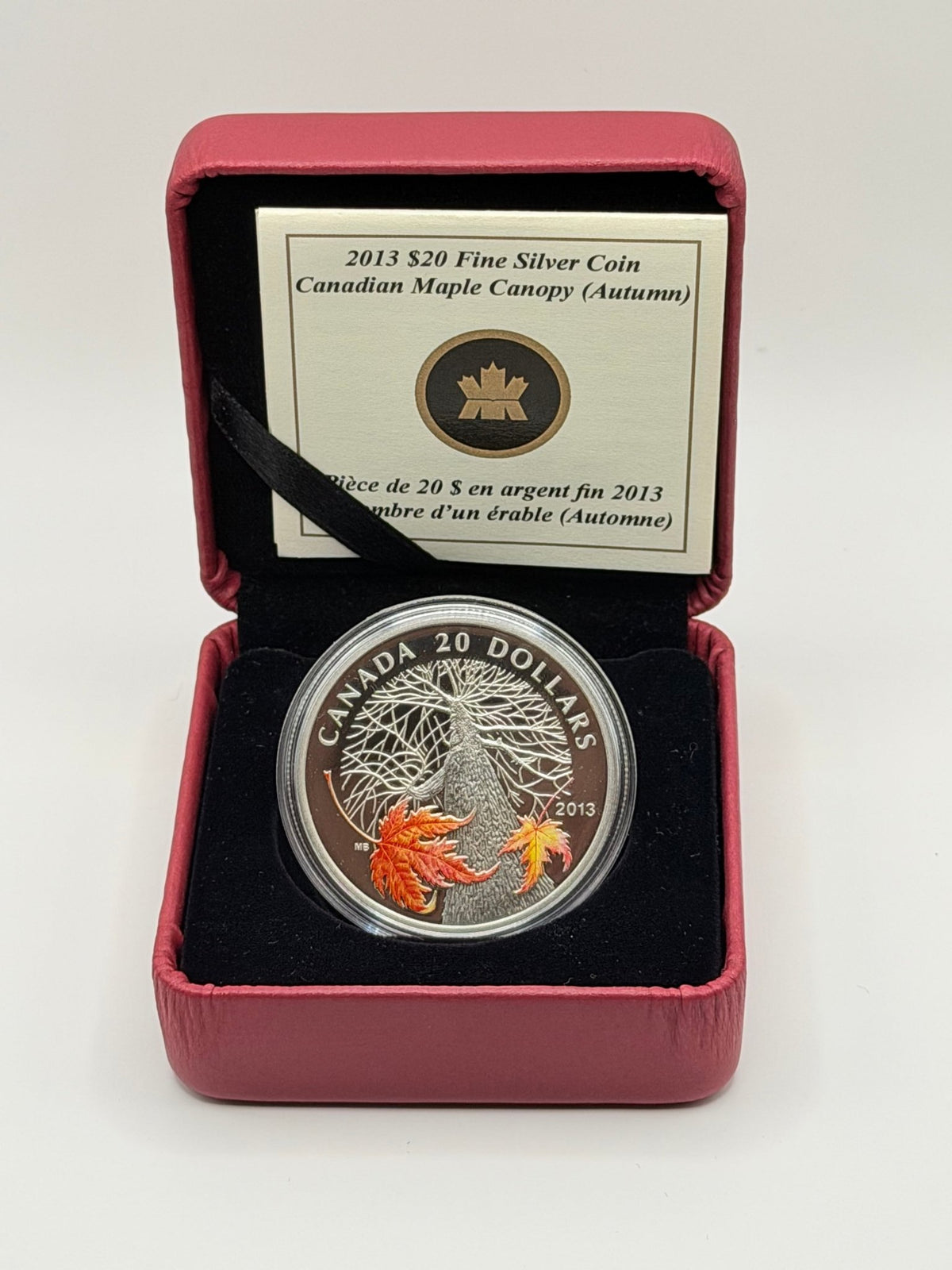 2013 Canada $20 Canadian Maple Canopy Autumn Silver Coin - MMmetalsandmore