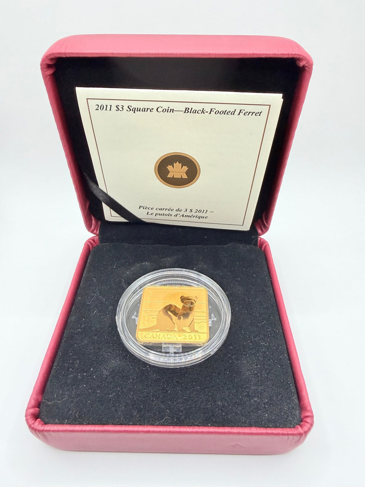 2011 Canada $3 Wildlife Conservation Series: Black-Footed Ferret Gold-Plated Sterling Silver Square Coin (Box & COA) - MMmetalsandmore