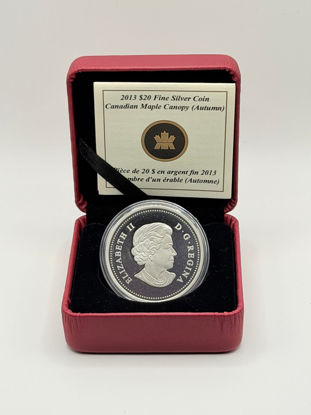 2013 Canada $20 Canadian Maple Canopy Autumn Silver Coin - MMmetalsandmore