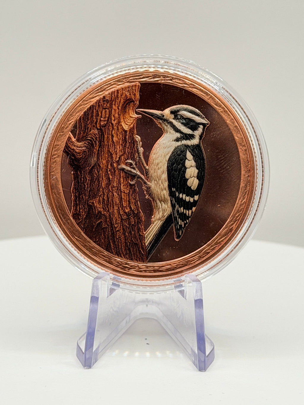 Downy Woodpecker 1 oz Colorized .999 Copper Round Bullion - MMmetalsandmore