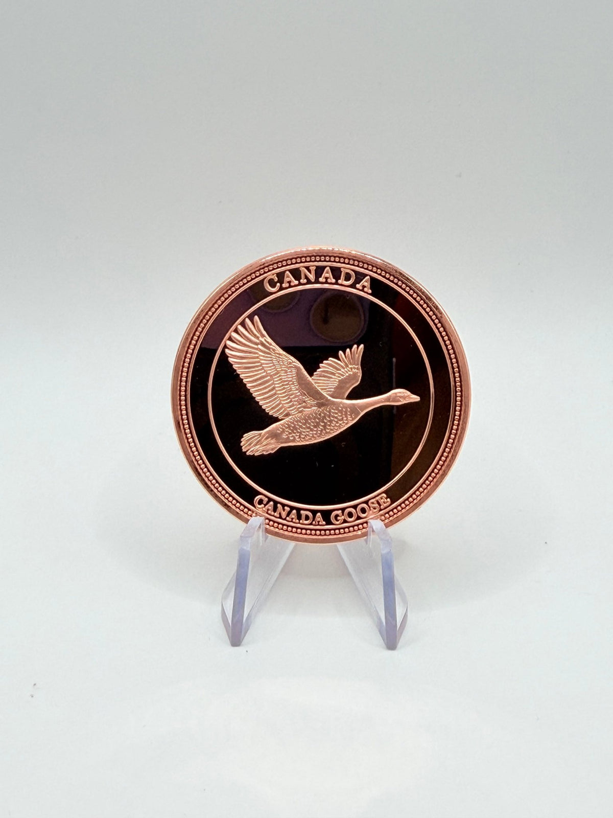 1oz .999 Fine Copper Canada Goose Proof Coin - MMmetalsandmore