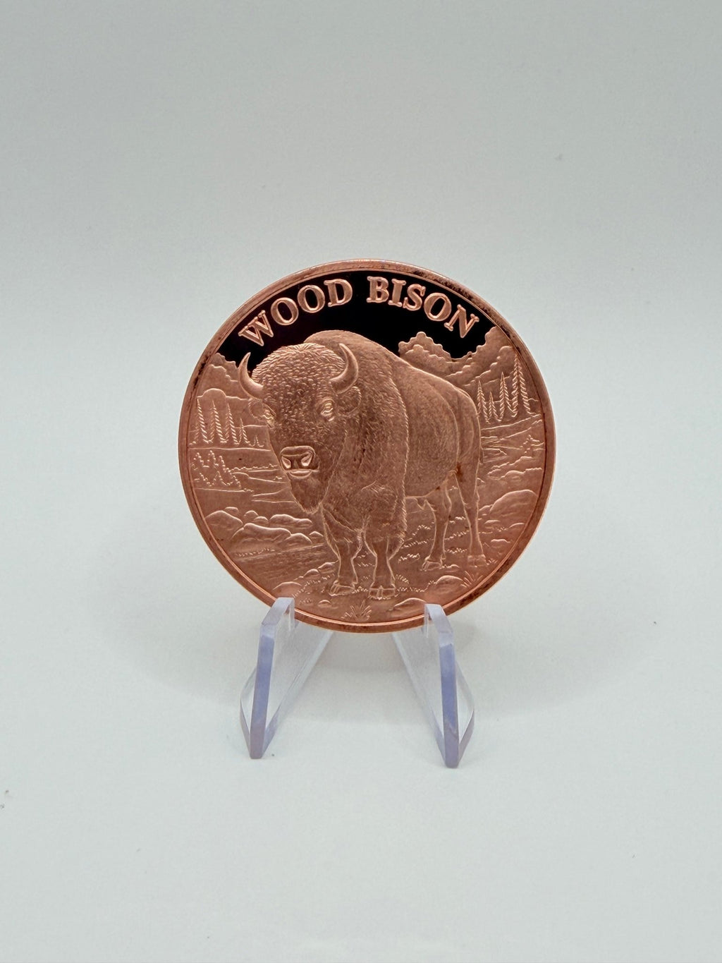 Wood Bison 1 AVDP oz .999 Fine Copper Bullion Round - MMmetalsandmore